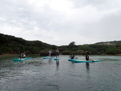 Ryonico {Óւ̓eʐ^1