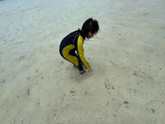 TL̐Ί_ ADVENTURE PiPiւ̓eʐ^1