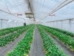 ݂񂳂SMILE-LABO HIROSHIMAiFʎ̐Xjւ̓eʐ^1