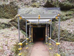 �g�V���[����̗������ԕ��ւ̓��e�ʐ^1