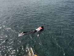 joěcǊ(P})C攼cA[X@OPGւ̓eʐ^1