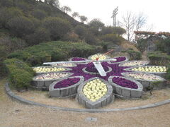 綺麗に飾られた花時計 - 花時計のクチコミ - じゃらんnet