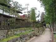 �L������̒��R�������h�̓��e�ʐ^3