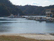 �g�V���[����̉���ÊC�݂̓��e�ʐ^1