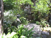 L̐[w^ɓ̗xquY̓eʐ^2