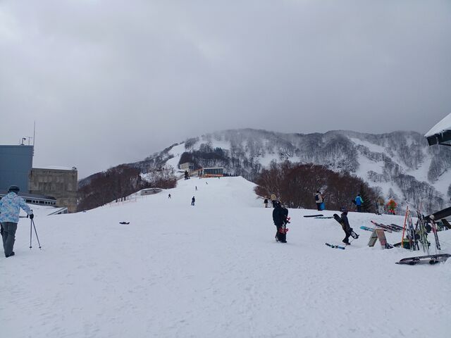 򍂌@ʁ@Ŕ@
ŏ㕔Qf́@1.170@
Ȃ}ł_򍂌XL[