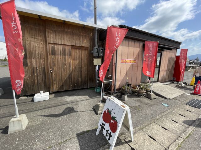 ����������t�ł��B_�����L�_��