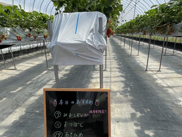 ���̓���3��ނ��ׂ���ނƃn�E�X�̔ԍ����L�ڂ���܂��B_�����L�_��