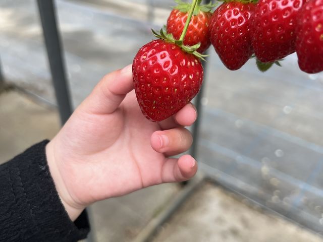 �������͂������e�����䕂ł�_�������͂������e