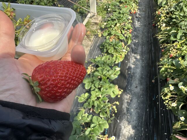 �Â��C�`�S_���R�_��