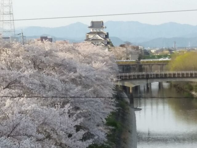 ���̉_�C�ɕ����Ă���悤�B_�n������