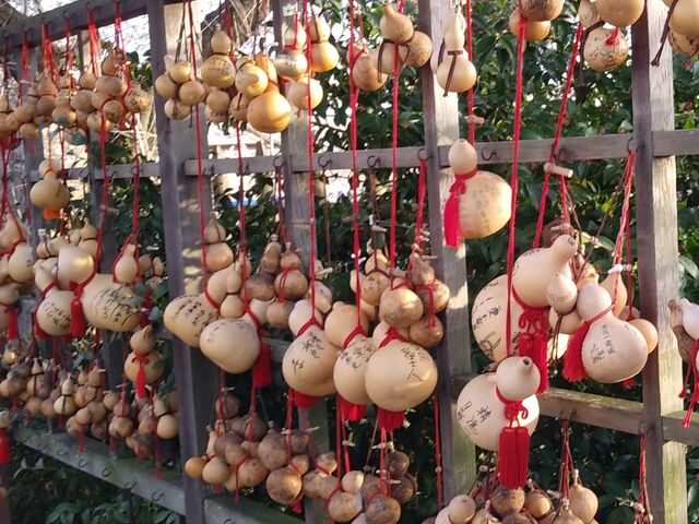 �G�n�͋��F�̕Z�\_�n������