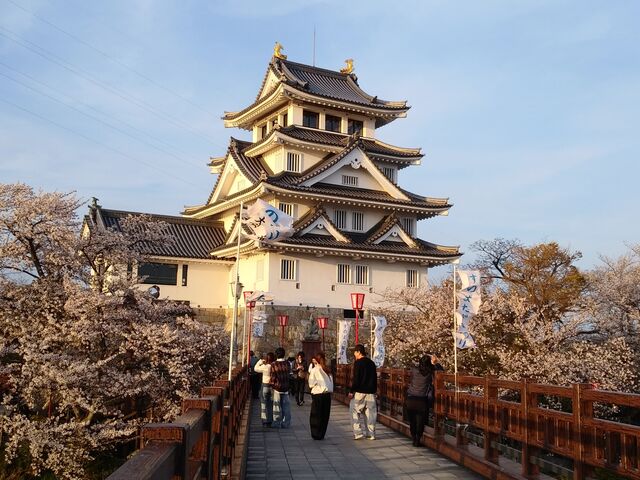 ���}�o�����Ɩn����_�n������