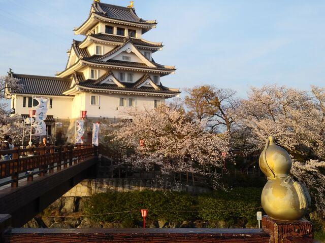 ���̗����̋[���͋��̕Z�\_�n������