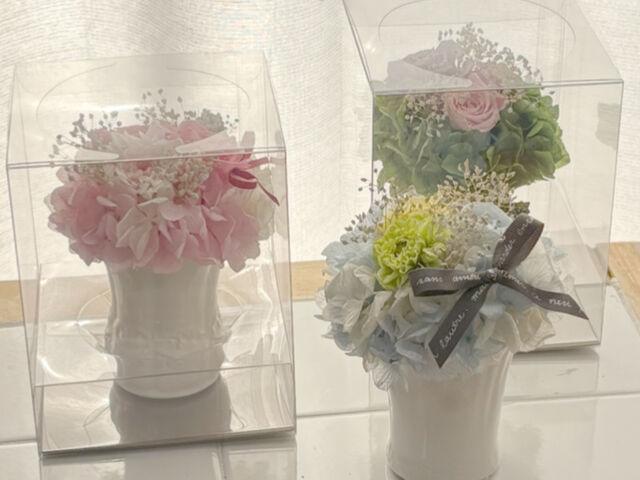 �̌��A�����W�����g_�t�����[�V�����e