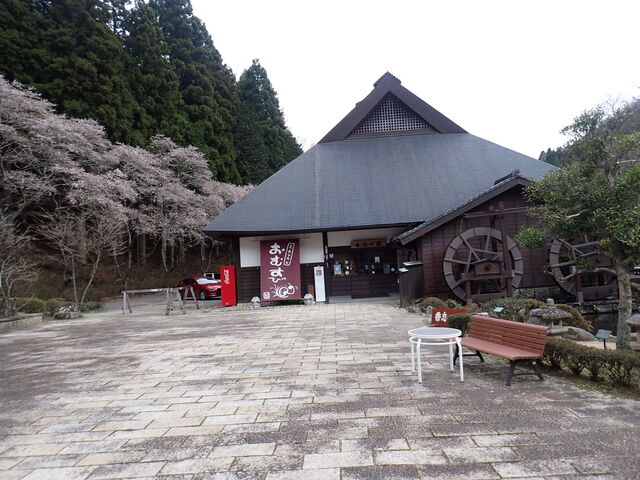 �X�܊O��_�����̊�