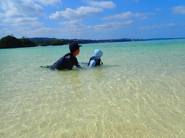 CAlŗVԎqǂ_A[XVbv