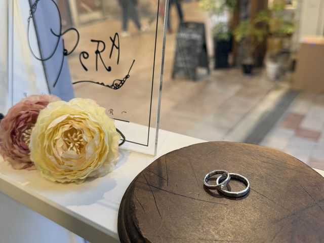 ����_�r�W���I�y���_�˃X�e���[�f�B�I