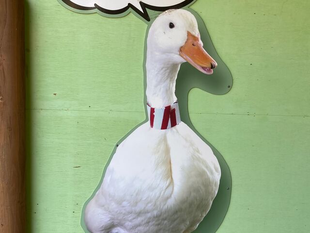 �ʕ{���N�e���`_�ʕ{���N�e���`