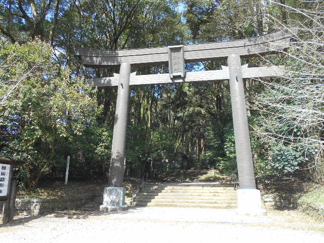 �����ӂ�_��