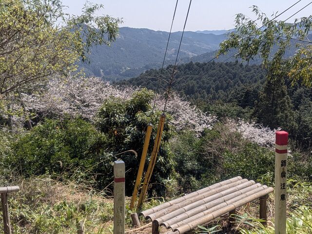 �R�[�X���̌i�F_sherpa