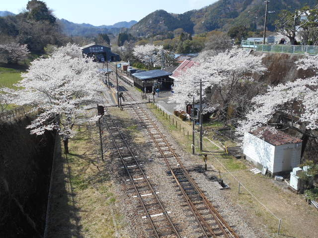 ����䂠�܂Ă炷�S���i�� �����w�\���j