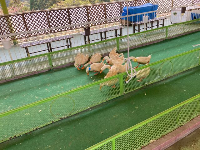 �ʕ{���N�e���`_�ʕ{���N�e���`