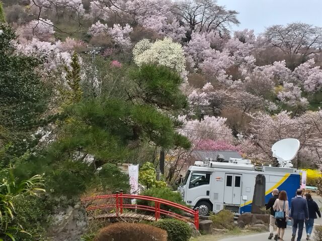 �Ԍ��R���������B������TV���p�Ԃ��B�v������荬��ł͂��܂���ł����B�܂��܂��̍��G�B_�Ԍ��R����