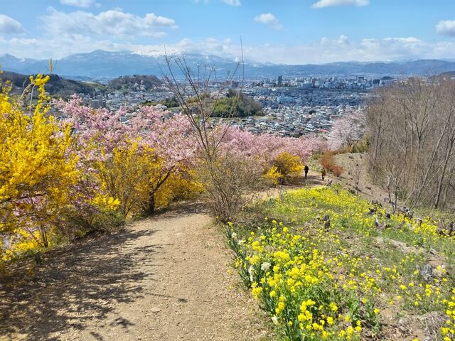 �����Ɍ�ȏ��x�m�����ꂢ�ł����B_�Ԍ��R����