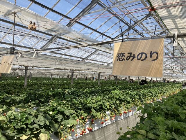 �Ƃɂ����L���n�E�X���B���[�����Ƃɂ�������̎�ނ̕i�킪����ł��܂��B_������܂�������