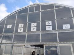 tomŷ΂t@[ւ̓eʐ^2