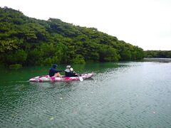 Ԃ̐Ί_ ADVENTURE PiPiւ̓eʐ^1