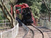 Ђł񂳂̃}CgsAʎq̓eʐ^1