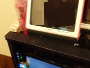 K2̃rbOGR[ BIG ECHO ܔcwOX̓eʐ^2