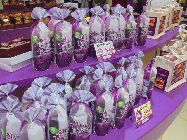 �g�C���^���g�̂��y�Y
_��َq��a�@���[�X