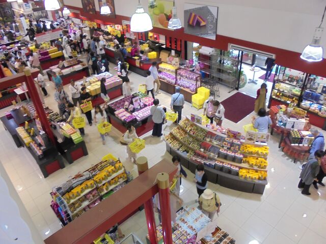 ��K����̒��߁@_��َq��a�@���[�X