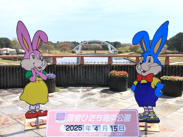 ��������Ⴂ�܂�_���c�Ђ����C�l����