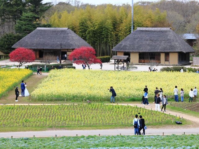 �ǂ����a_���c�Ђ����C�l����