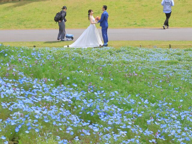 ���K���ɁI_���c�Ђ����C�l����