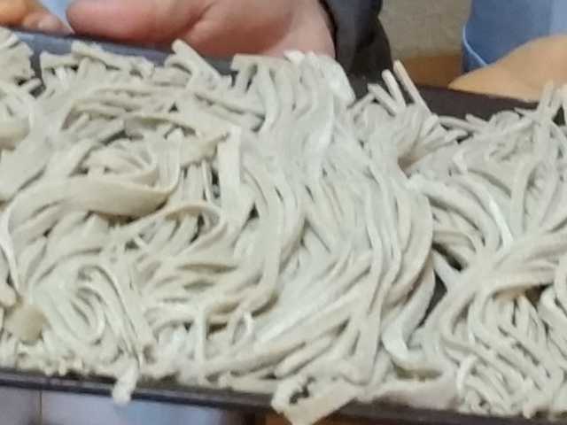 �R�V������܂��B_�̌���y���@���c�_