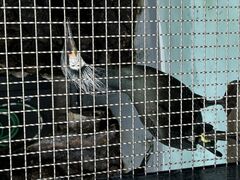 ݂̒ǐ삤~[WAւ̓eʐ^2