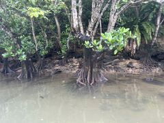 肦̃u[tB[hւ̓eʐ^3