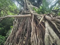 肦̃u[tB[hւ̓eʐ^4