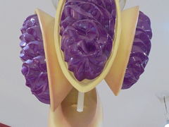 񂳂َ̌qa@[Xւ̓eʐ^4