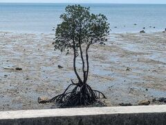 kiku̐Ί_cA[KChI[u[ւ̓eʐ^1