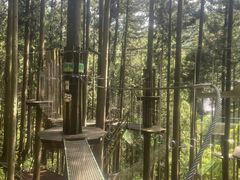 ẼtHXgAhx`[cJւ̓eʐ^1