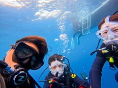 J[`̃}Nu Gigiւ̓eʐ^1