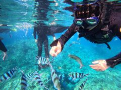 񂳂̃}Nu Gigiւ̓eʐ^2