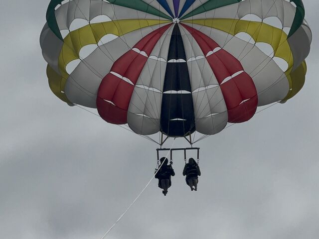 ���i_marine shop PETREL