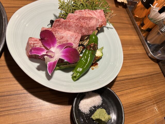 ���јa���@�E�`�n���~_�k���z������ �Ԃ񂽂낤 ���{�X